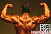 AI肌肉教程整理：从健身房小白到朋友圈男神，我用AI搞定了身材焦虑