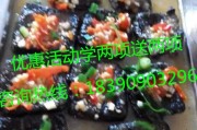 寻味之旅：探访正宗臭豆腐技术培训的那些门道