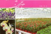 养花先养土，活下来才谈开花：那些老师傅不愿透露的生产细节