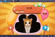 那只晴天小猫，正用AI治愈千万人心