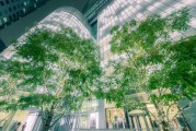 饮水安全这事真不能马虎，你家水龙头流出的每一滴水都靠谱吗？