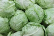人工智能卷心菜整理内容的秘诀大公开