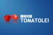 盗版Windows狂欢史：掏空系统、窒息国产，那段被遗忘的代价