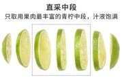 冻干技术到底贵在哪？掰开了揉碎了讲讲这里头的成本和门道