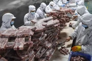 液氮隧道速冻技术：解锁肉类“细胞级”保鲜的终极革命！