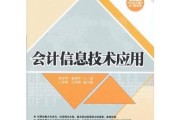 会计信息技术论文整理心得分享