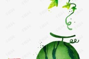 西瓜技术下载全攻略，让你从小白变高手