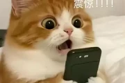 零的突破！逆水寒斩获国家科技进步一等奖，游戏AI技术登顶国家级殿堂