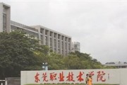 东莞职院填报必备：学校代码详解与实用指南