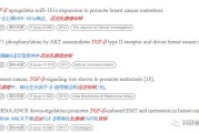 智能时代数据瑰宝：人工智能语料整理的实战心法
