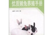养獭兔想搞技术入股？老养殖户的几句大实话（血泪经验版）