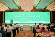 搜索特色技术介绍：让你搜索更顺手的秘密武器