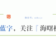 政法区块链：破解数据孤岛，点燃数字检察新引擎