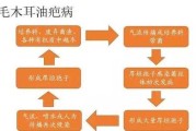 食用菌技术那点事儿：从菌种选育到产业升级，看小小蘑菇如何撑起大市场